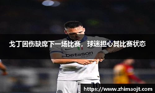 戈丁因伤缺席下一场比赛，球迷担心其比赛状态